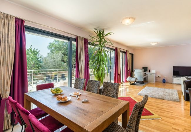 Villa in Šegotici - Villa Lelaina near Pula with private Pool and 3 km from the beach - pet friendly Villa in Šegotici - Villa Lelaina near Pula with private Pool and 3 km from the beach - pet friendly