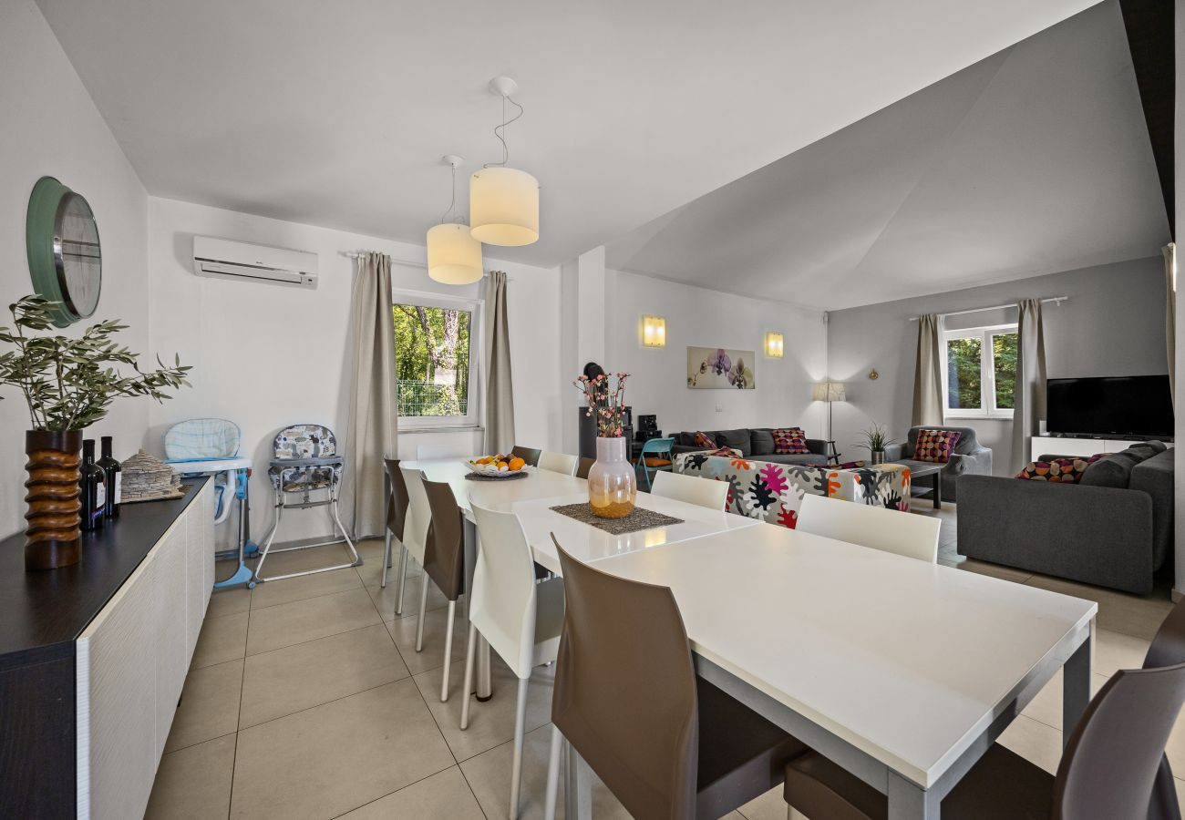 Villa in Mužini - Villa Martha in Central Istria with private pool - wellness / table tennis for 12 persons