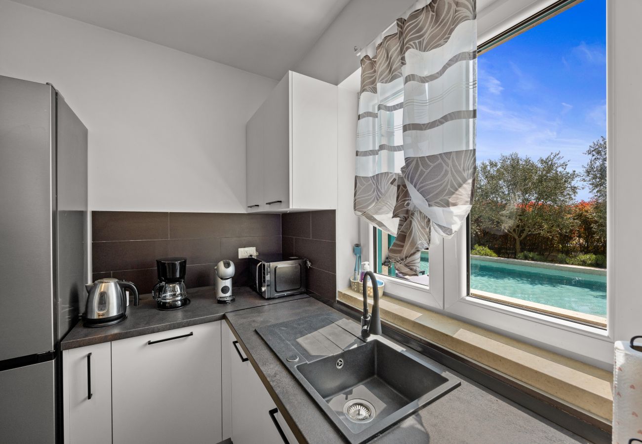 Villa in Mužini - Villa Martha in Central Istria with private pool - wellness / table tennis for 12 persons