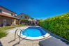 Villa in Oprtalj - Casa Sara and Sasha near Motovun with private pool - pet friendly truffle paradise