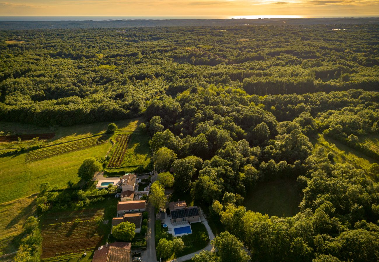 Villa in Svetvincenat - Villa Ferlini in Central Istria with private 10000 m2 garden, wellness & family activities on plot