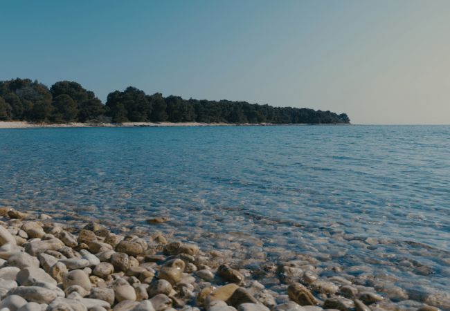 Villa in Betiga - Villa Kalista Istriana for 10 people with private pool & sea view Villa in Betiga - Villa Kalista Istriana for 10 people with private pool & sea view