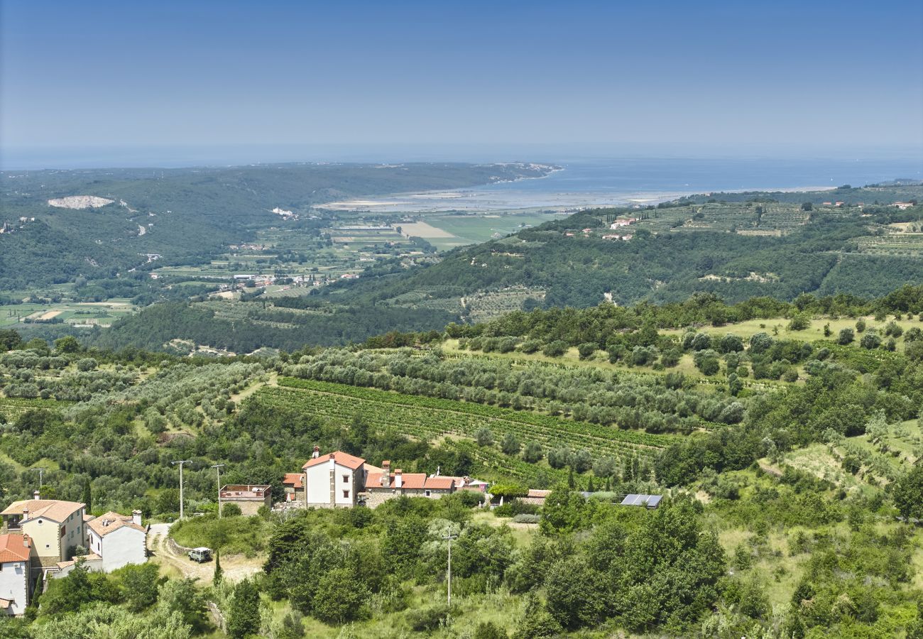 Villa in Merišce - Residence Monte near Umag for 8+2 people with heated infinity pool, spa & play room