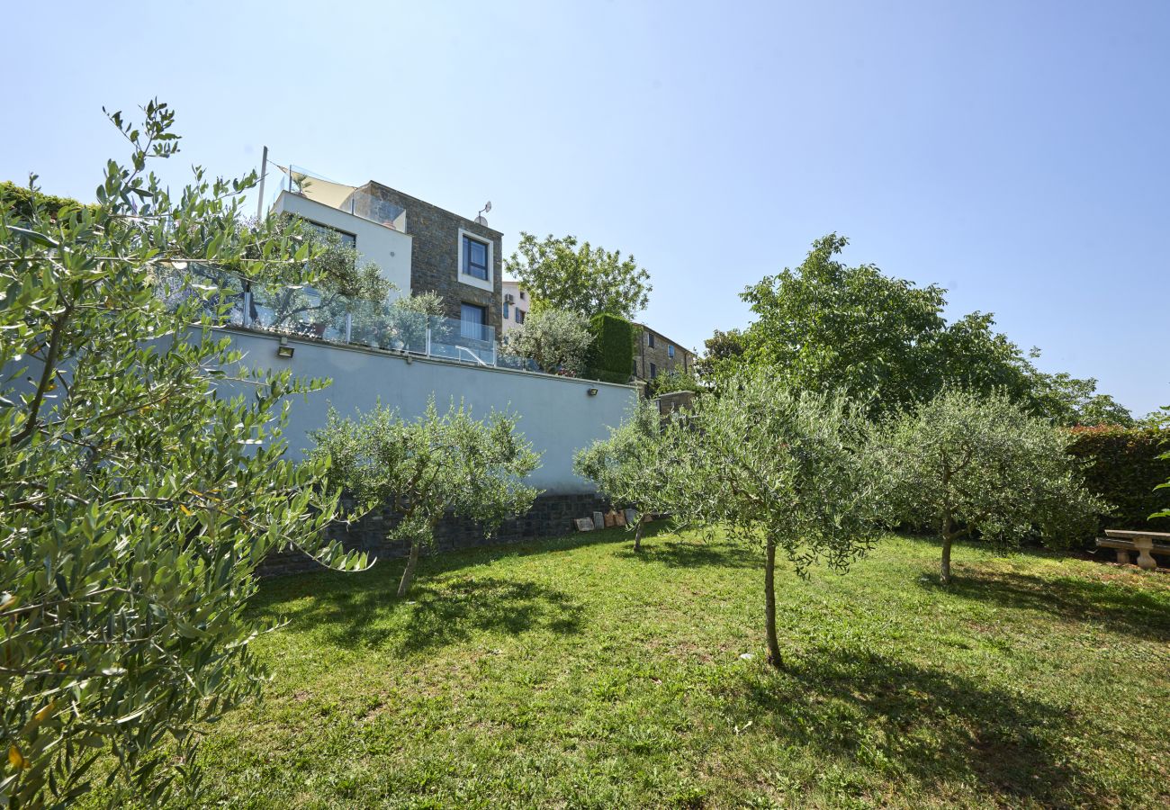 Villa in Merišce - Residence Monte near Umag for 8+2 people with heated infinity pool, spa & play room