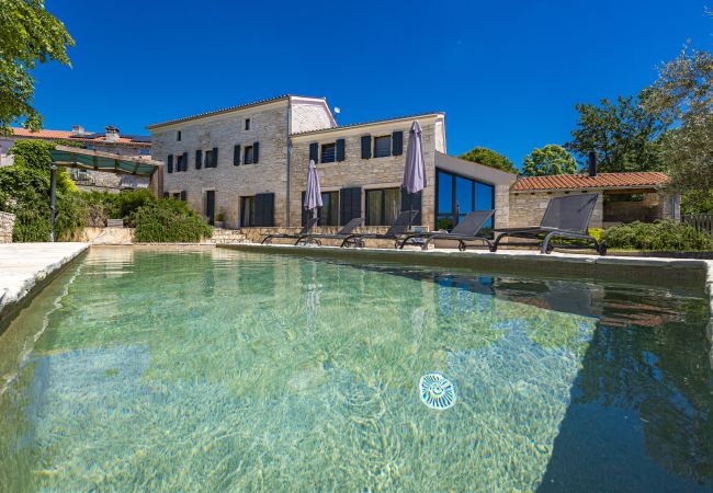 Villa in Butkovici - Casa 42 pet friendly for 9 people in Central Istria with salt - water pool Villa in Butkovici - Casa 42 pet friendly for 9 people in Central Istria with salt - water pool