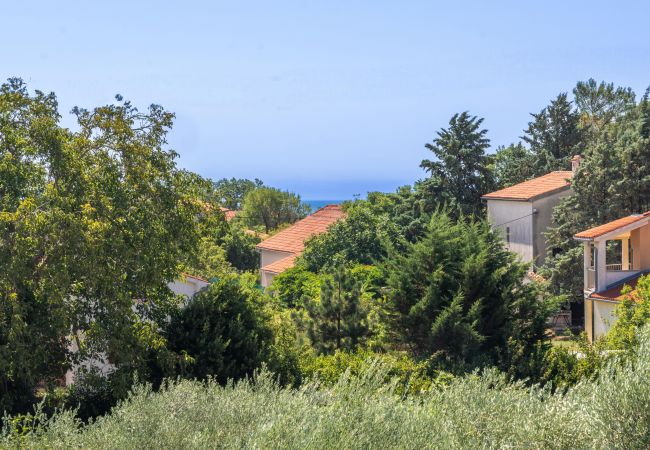 Villa in Krnica - Villa Kali near Pula for 8 people with fitness & sea view - pet friendly Villa in Krnica - Villa Kali near Pula for 8 people with fitness & sea view - pet friendly