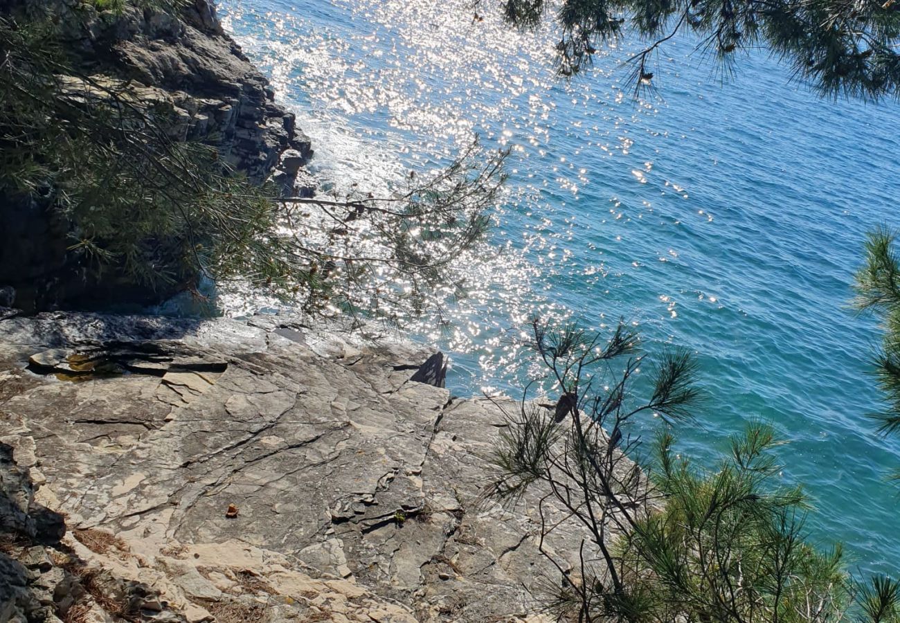 Villa in Štinjan - Villa Camino for 6 people near Fažana with sea view & only 700 meters from the beach