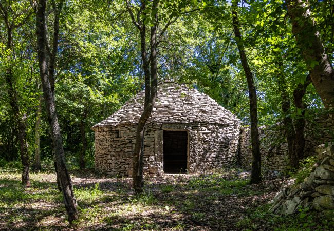 Villa in Sveti Kirin - House Edera in Central Istria for 6 people with large garden and salt - water private pool Villa in Sveti Kirin - House Edera in Central Istria for 6 people with large garden and salt - water private pool