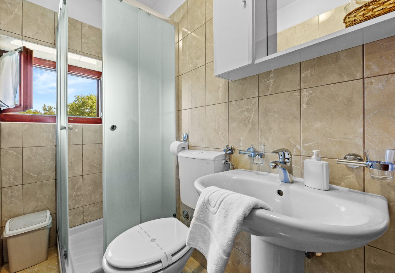 Villa in Sveti Kirin - House Edera in Central Istria for 6 people with large garden and salt - water private pool