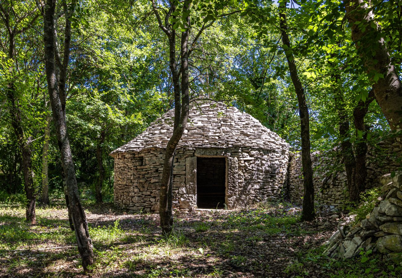 Villa in Sveti Kirin - House Edera in Central Istria for 6 people with large garden and salt - water private pool