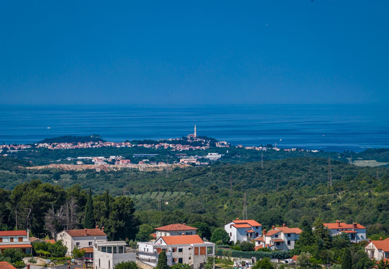 Villa in Rovinjsko Selo - Villa Terrana near Rovinj for 6 people with private pool 