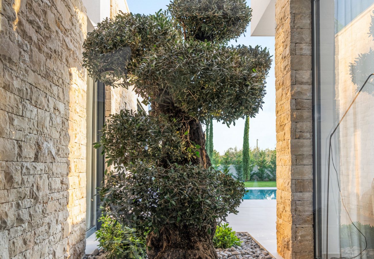 Villa in Anžici - Villa Asmoa for 8 people near Poreč with 45 m2 heated pool, wellness & sea view