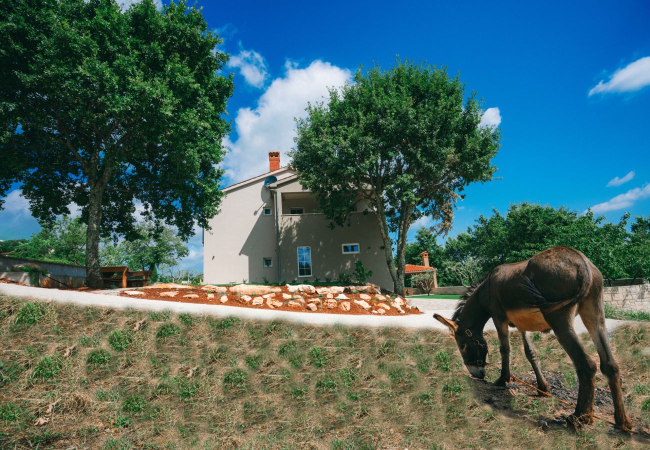 Villa in Brig - Casa San Vital for 8 people in Central Istria with 48 m2 private pool  