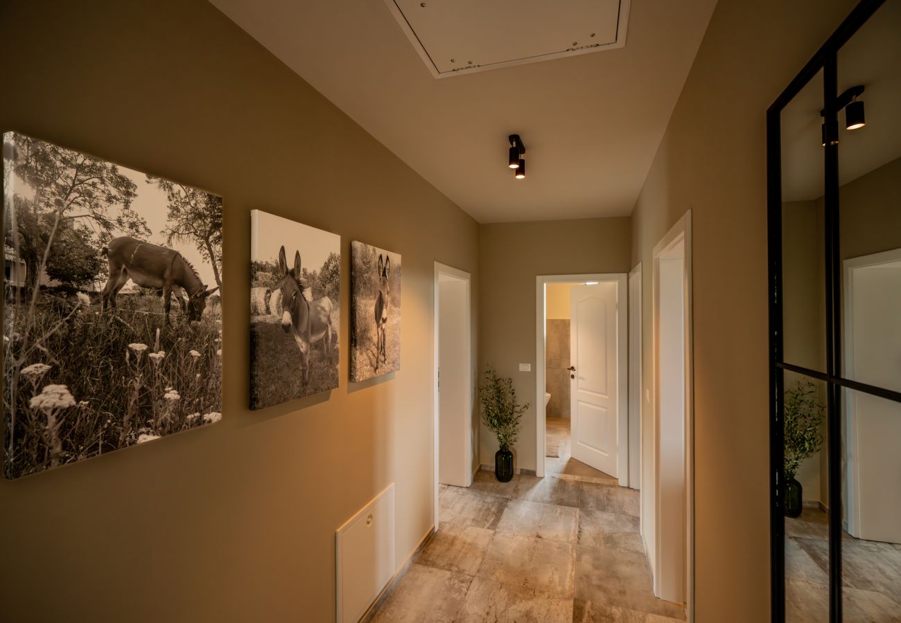 Villa in Brig - Casa San Vital for 8 people in Central Istria with 48 m2 private pool  