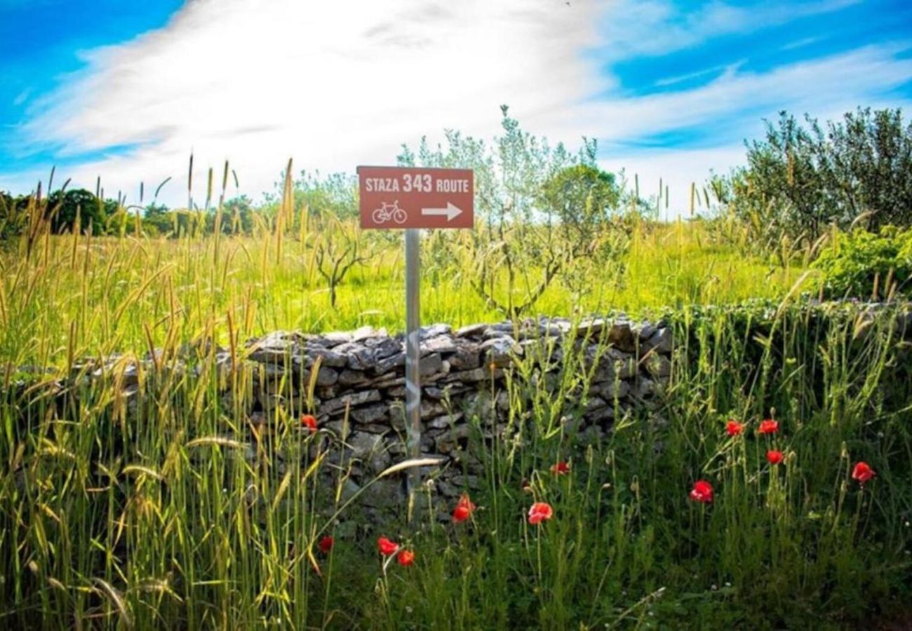 Villa in Divšici - Villa San Polo Max in Central Istria up to 8 people with heated pool & pet friendly