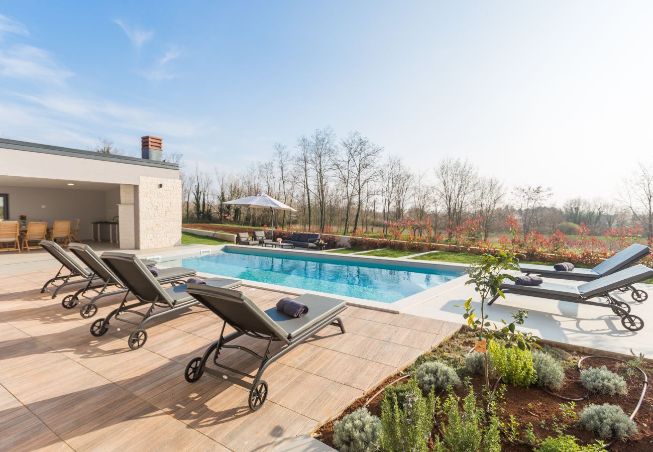 Villa in Pinežici - Villa Harmony for 8 people in Central Istria with 50 m2 private pool and sea view