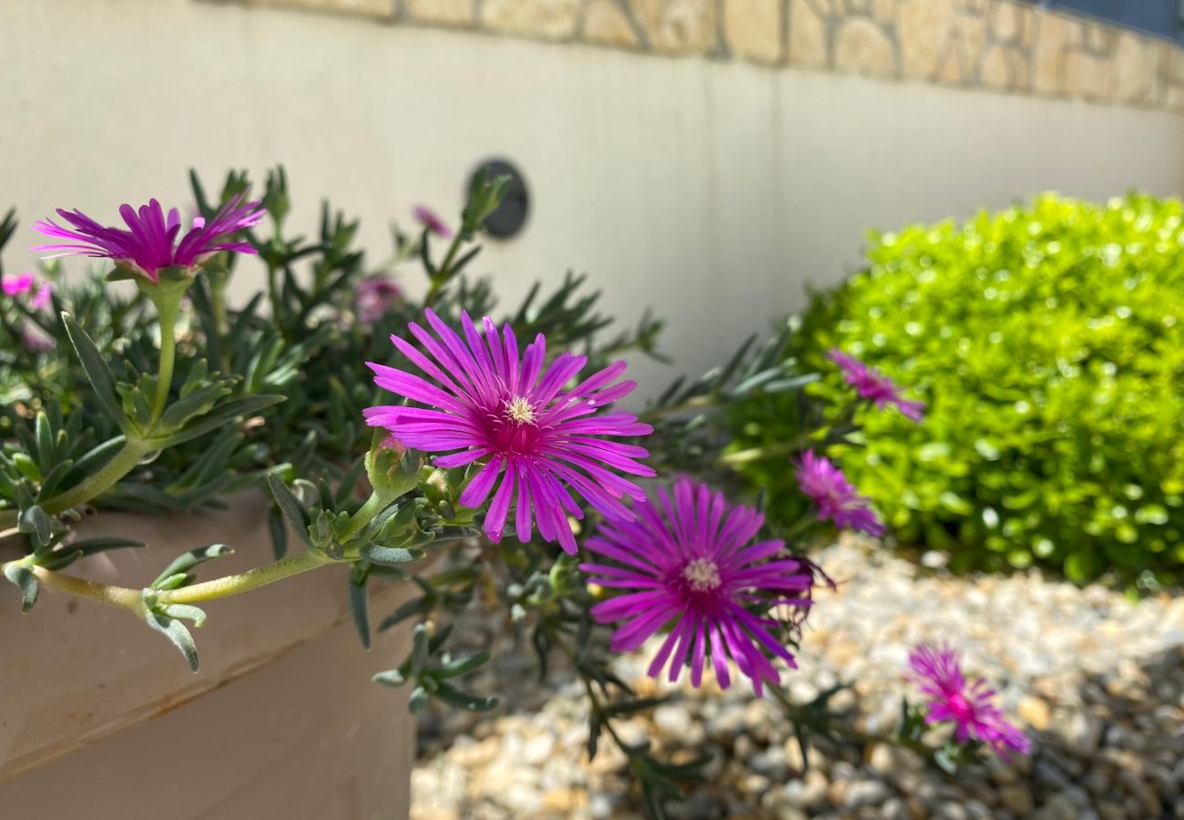 Villa in Malinska - Villa Larus on Island Krk for 6 people with sea view & only 500 m from the sea