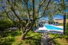 Villa in Valbandon - Villa Grace Felice for 8 people with private pool & only 2 km from the beach near Fažana