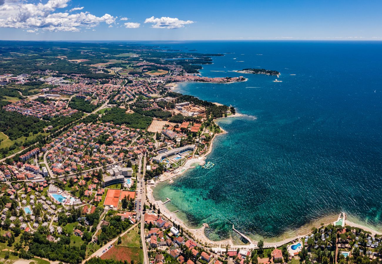 Villa in Porec - Villa Andrea for 17 people with private heated pool & pet friendly near Poreč