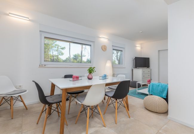 Villa in Peroj - Villa Shimunelka for 6 people near Fažana only 250 meters from the beach with jacuzzi Villa in Peroj - Villa Shimunelka for 6 people near Fažana only 250 meters from the beach with jacuzzi