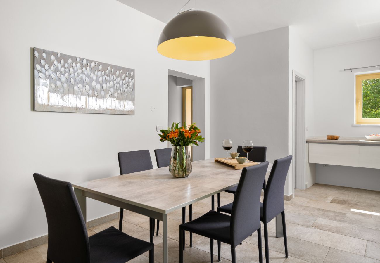 Villa in Kraj Drage - Villa Aria Labin for 6 persons with private 32 m2 pool, kids playground and large garden 