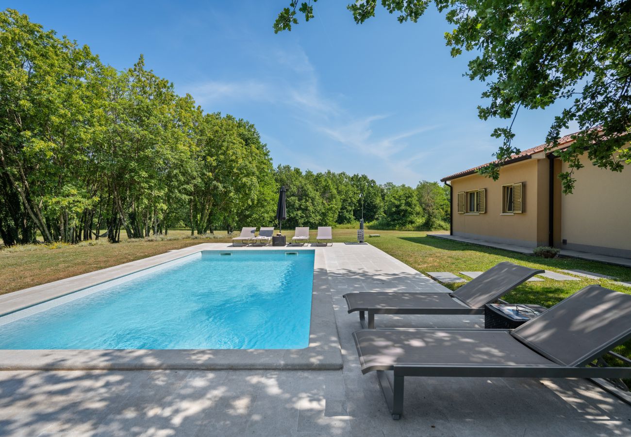 Villa in Kraj Drage - Villa Aria Labin for 6 persons with private 32 m2 pool, kids playground and large garden 