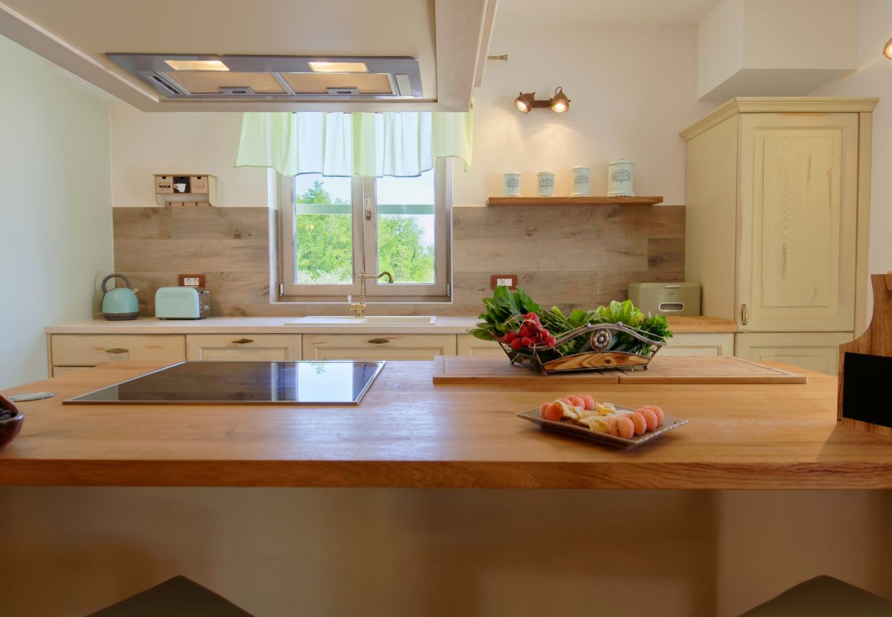 Villa in Srebrnići - Villa Stella Polaris for 8 persons in Central Istria with private pool, sea view, large garden & kids playground