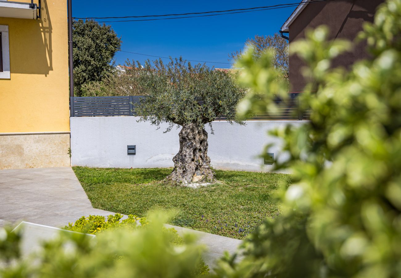 Villa in Jadreški - Villa Tramontana near Pula for 6 persons with 30m2 private pool 