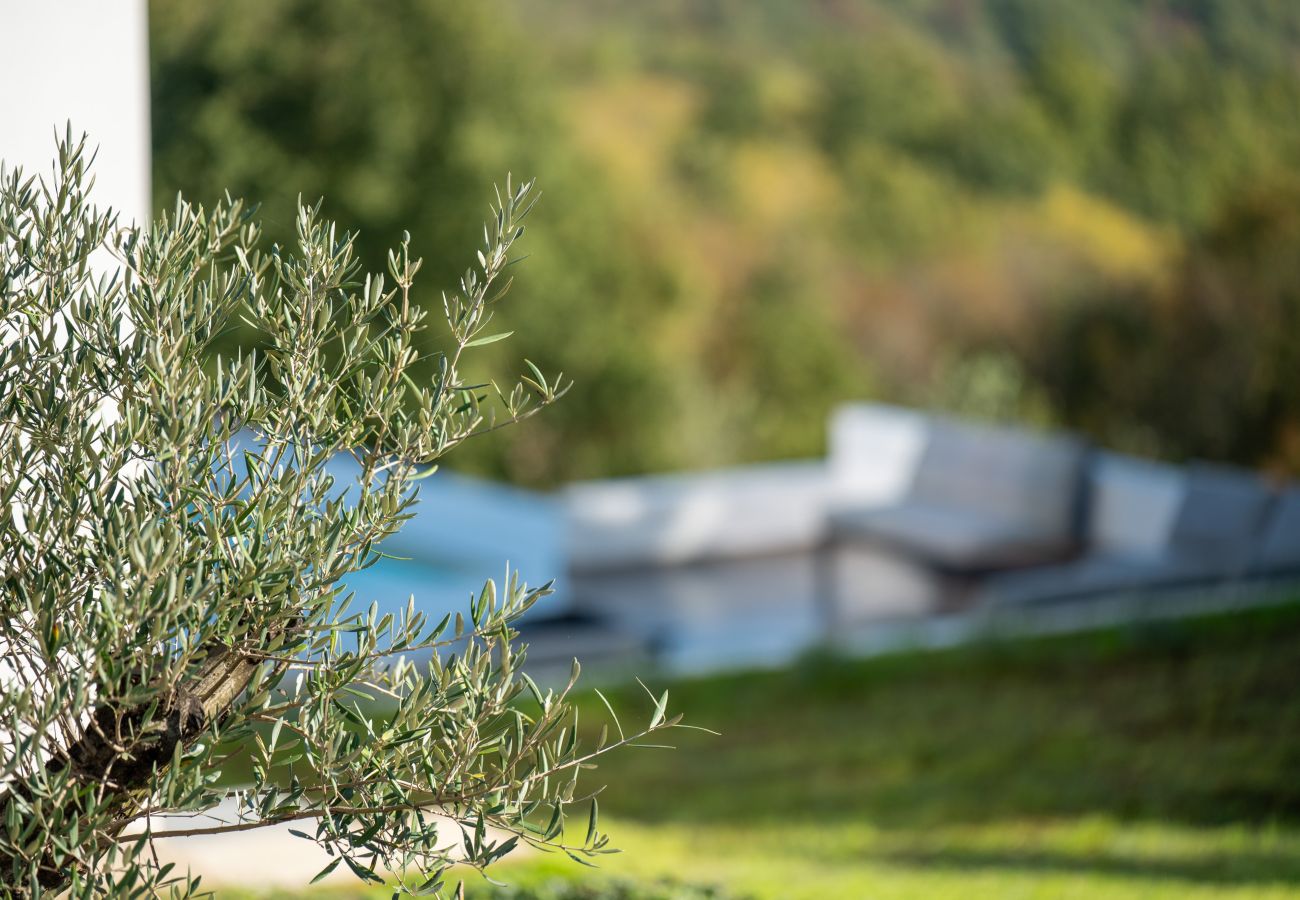 Villa in Sveta Katarina - Villa Nene near Labin - Rabac for 10 persons with 55 m2 pool, wellness area & large garden