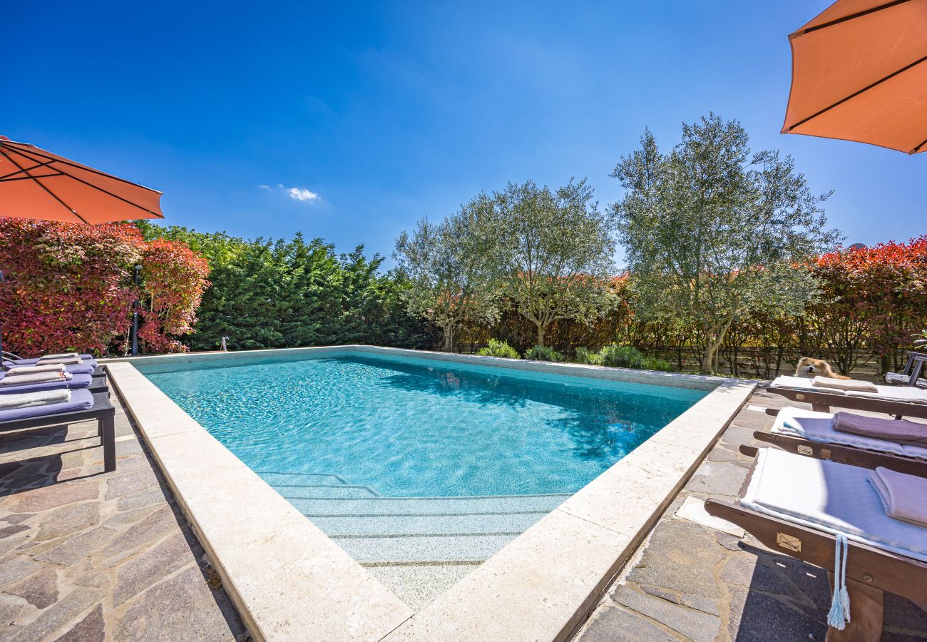 Villa a Mužini - Villa Martha in Central Istria with private pool - wellness / table tennis for 12 persons