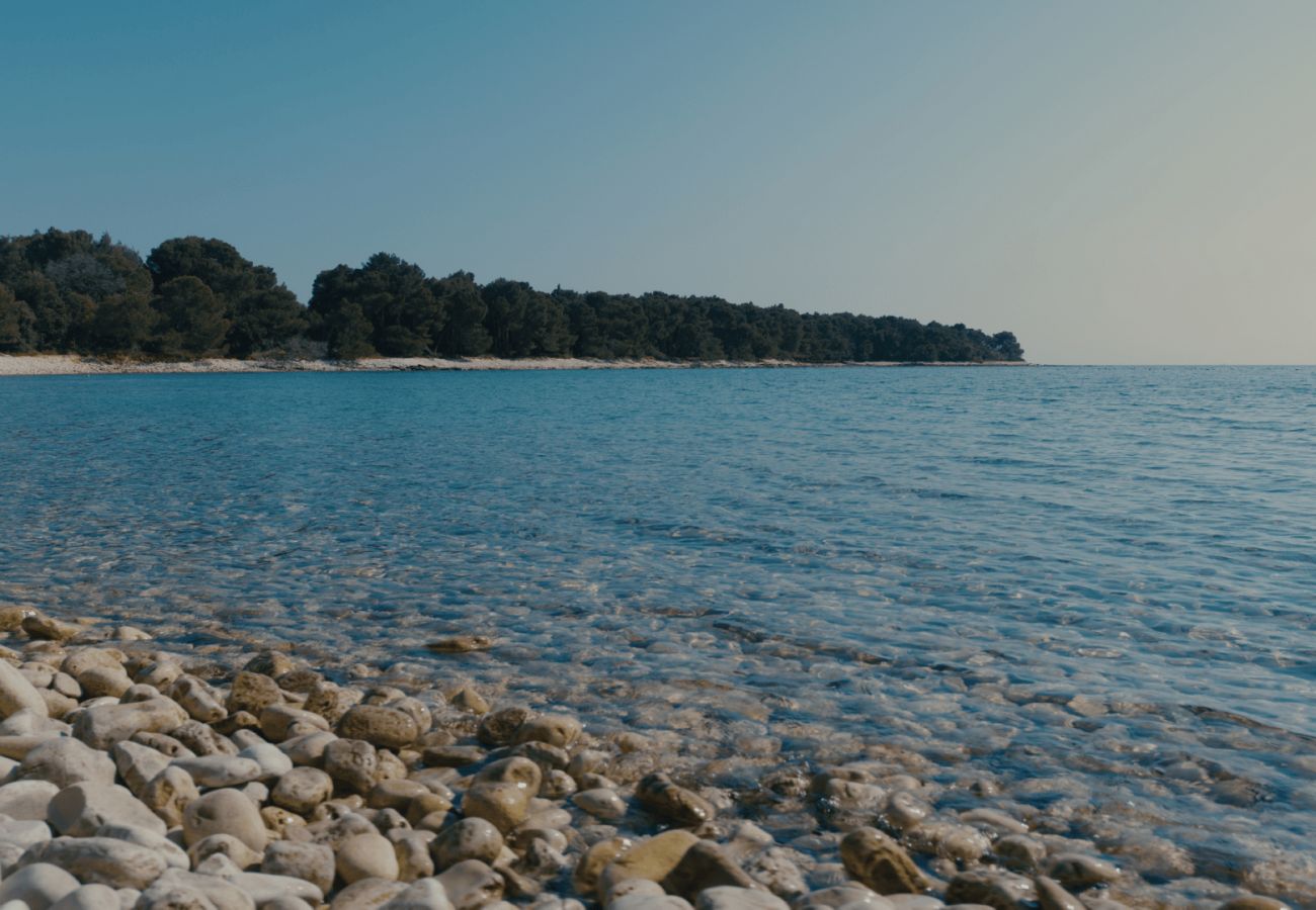 Villa a Betiga - Villa Kalista Istriana for 10 people with private pool & sea view
