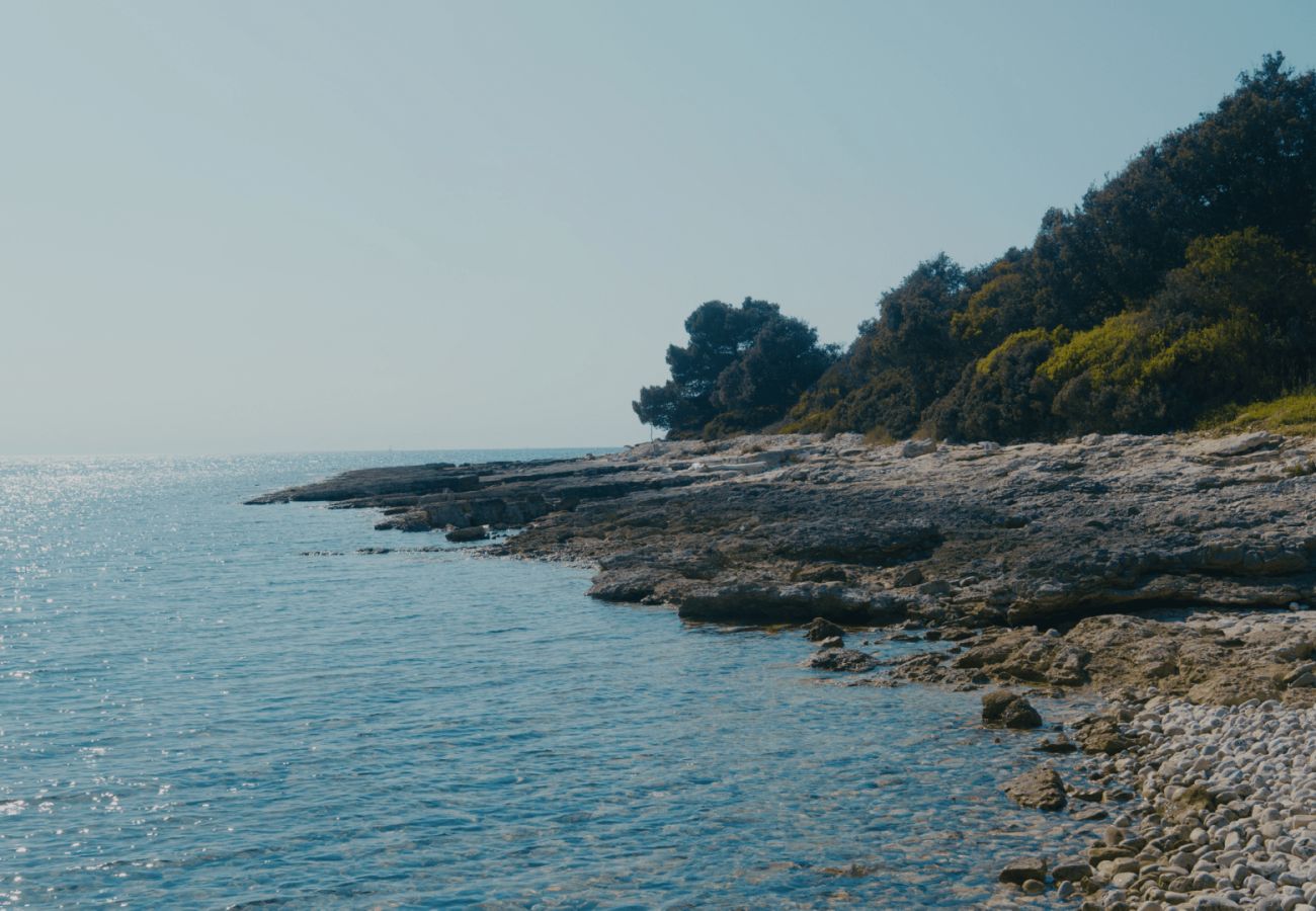 Villa a Betiga - Villa Kalista Istriana for 10 people with private pool & sea view