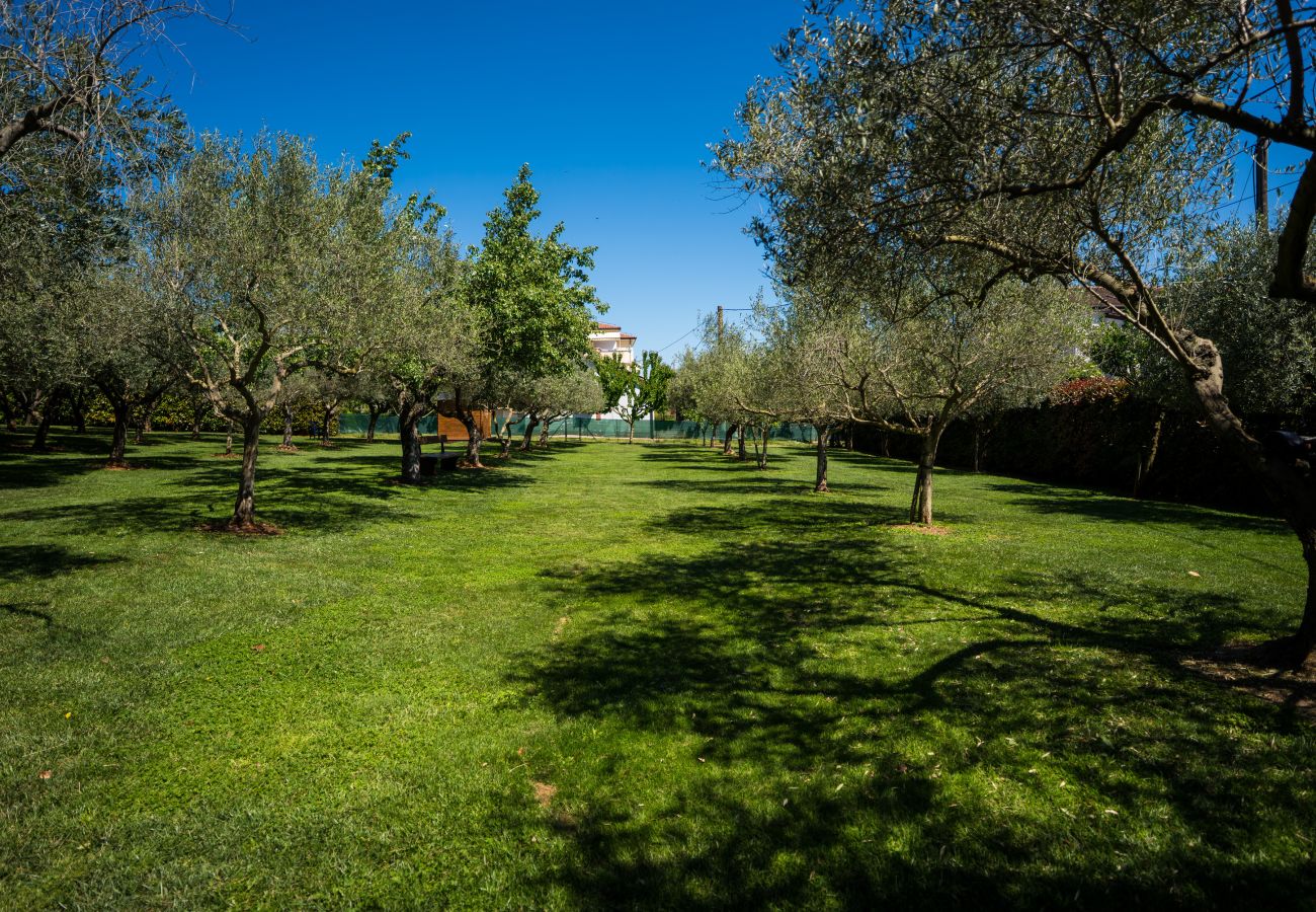 Villa a Brtonigla - Villa LV near Novigrad for 8 people spa & children playground only 1.5 km from beach