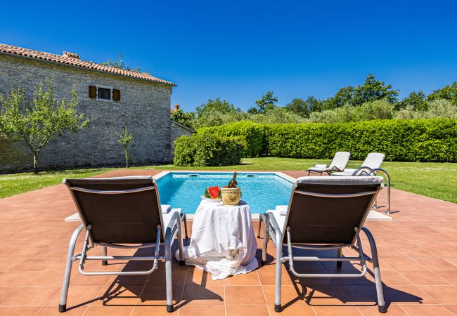 Villa a Sveti Kirin - House Edera in Central Istria for 6 people with large garden and salt - water private pool Villa a Sveti Kirin - House Edera in Central Istria for 6 people with large garden and salt - water private pool