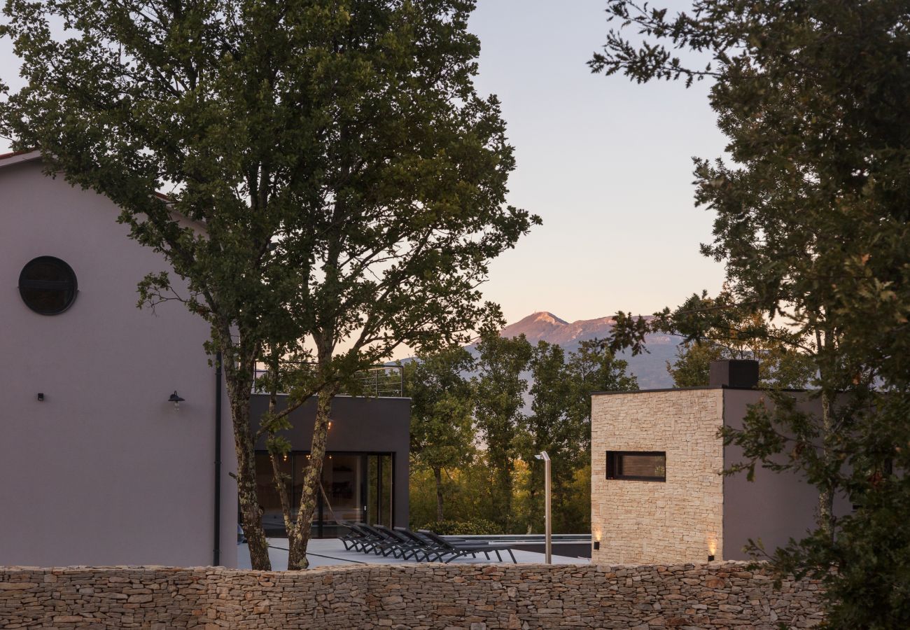 Villa a Kršan - Villa Mons Caldera for 10 people with 40 m2 infinity heated pool & kids playground