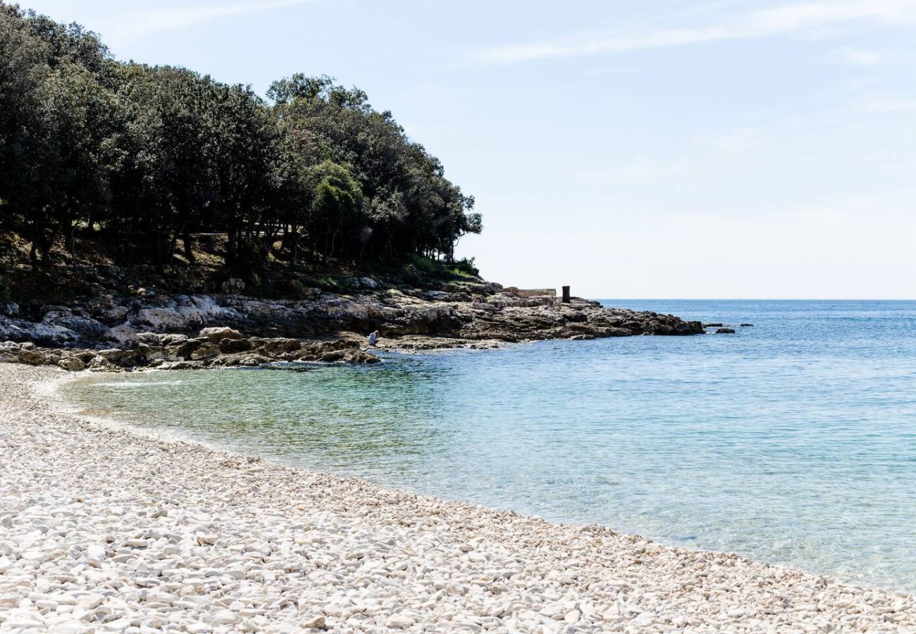 Villa a Brgod - Villa Arte for 6 people near Labin - Rabac for 6 people with sea view & private pool