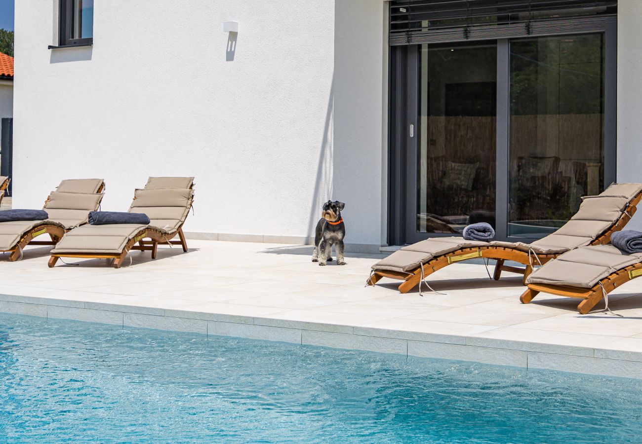 Villa a Vintijan - Villa Enja for 8 people near Pula with private pool & pet friendly