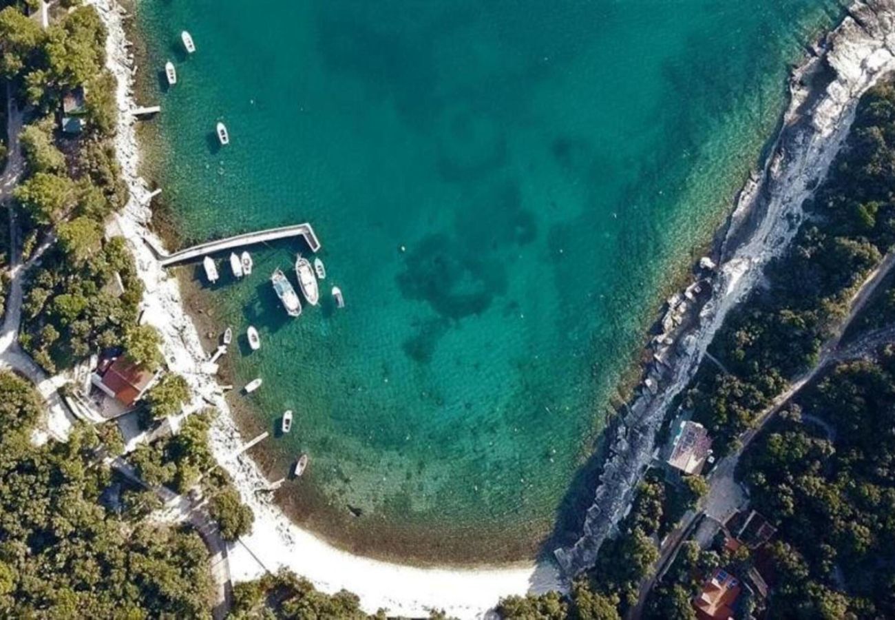 Villa a Krnica - Villa Monte D'Or for 8 people with private pool and sea view