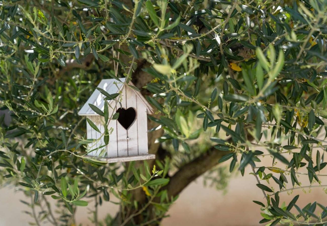 Villa a Divšici - Villa Karla near Pula for 8 persons with private pool, kids playground & pet friendly