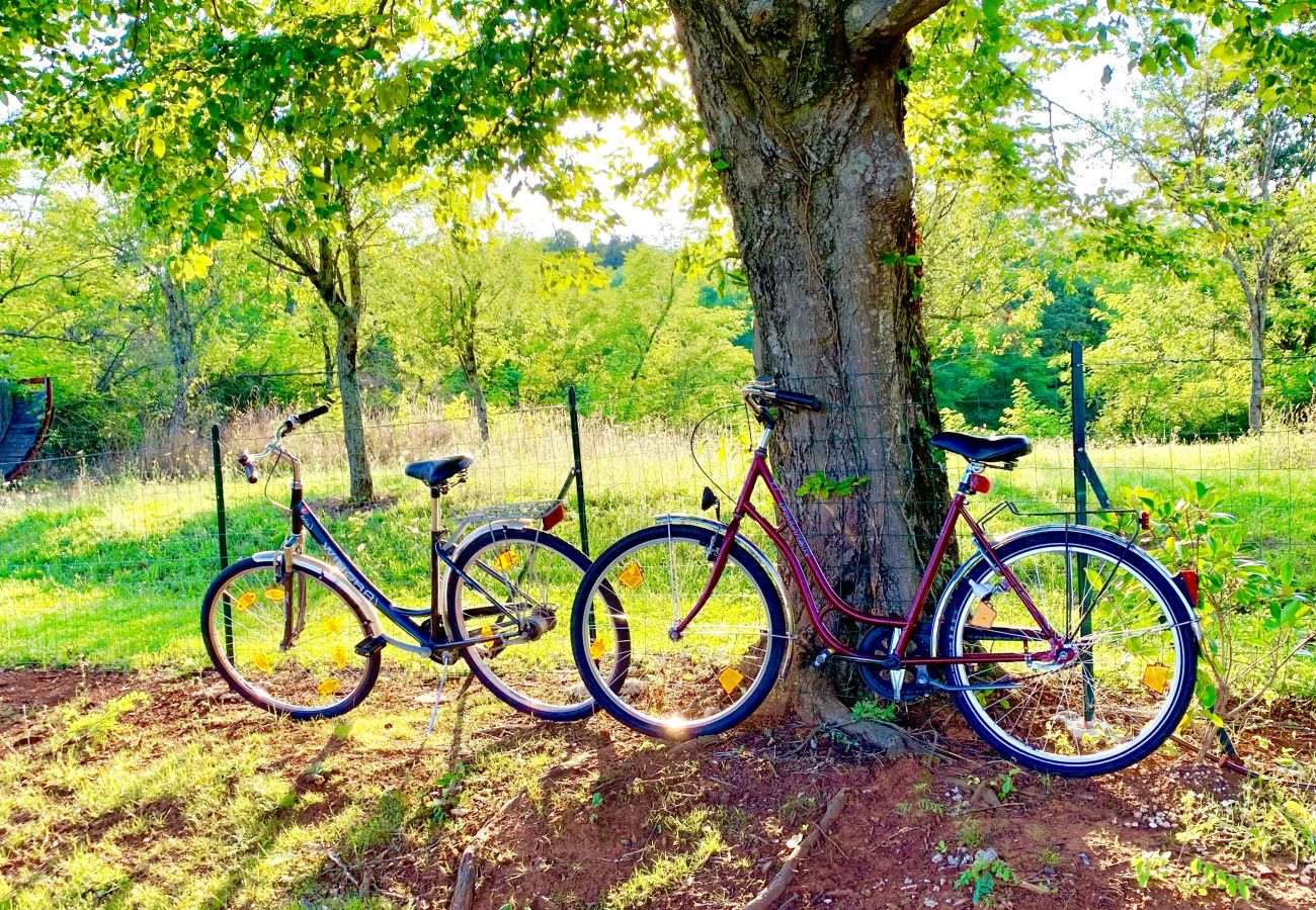 Villa a Županici - Villa Meadow for 6 persons near Labin - Rabac with 28 m2 heated pool & kids playground