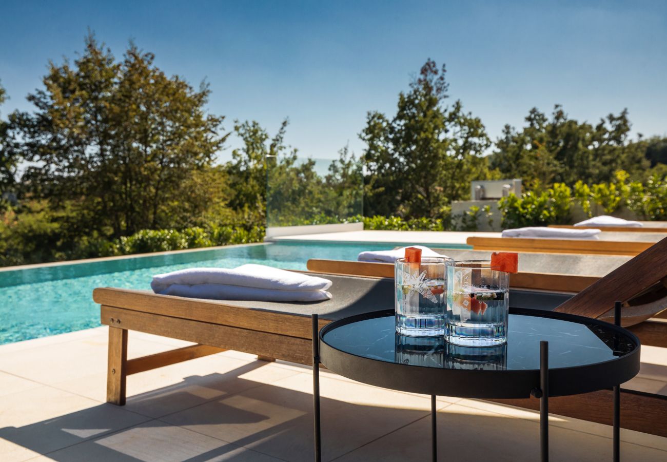 Villa a Brajkovici - Villa Ox in Central Istria for 14 persons with 56 m2 heated pool, kids playground & large garden