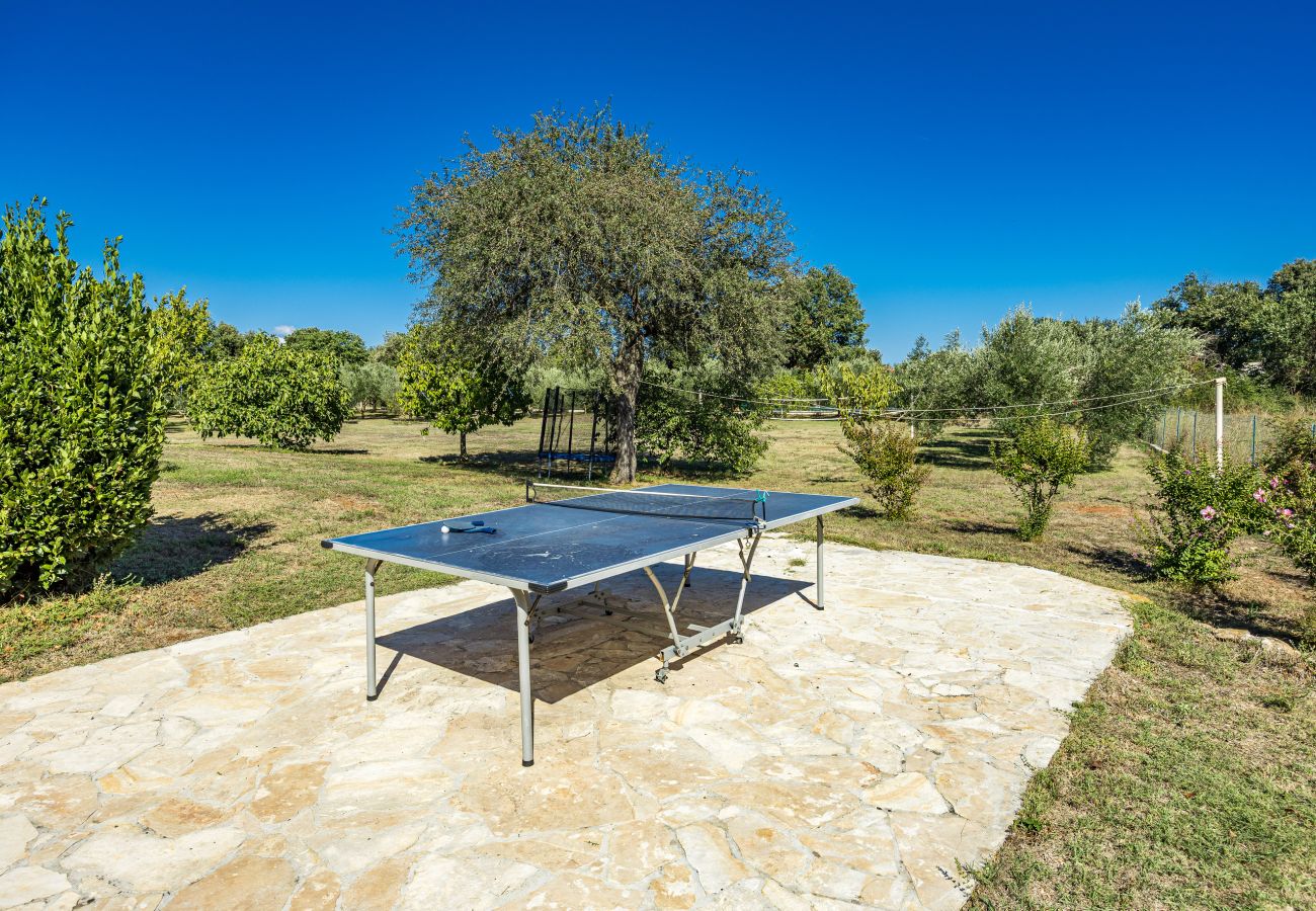 Villa a Šišan - Villa Divina