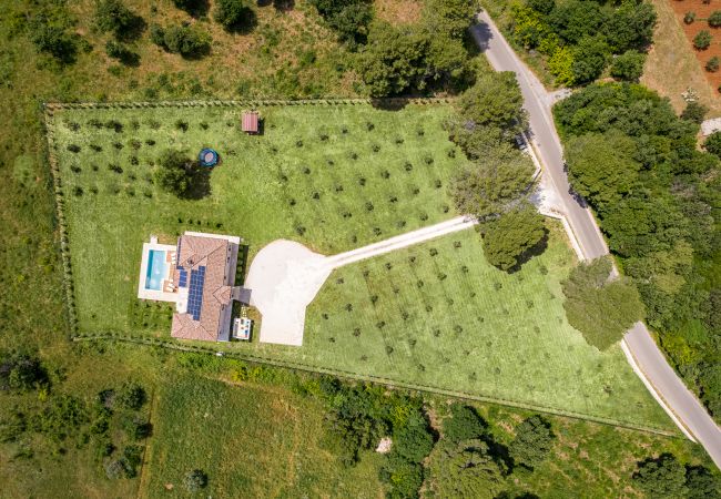 Villa in Galižana - Villa Campagna near Fažana with 7.250m2 large garden and sauna Villa in Galižana - Villa Campagna near Fažana with 7.250m2 large garden and sauna