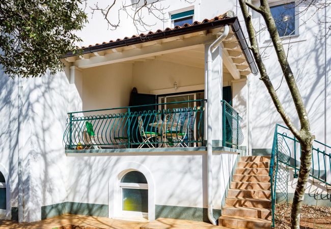 Villa in Medulin - Villa Laura in Medulin for 8 persons only 1.5 km from the beach - pet friendly Villa in Medulin - Villa Laura in Medulin for 8 persons only 1.5 km from the beach - pet friendly