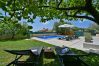 Villa in Galižana - Villa Natali with private pool and kids playground near Fažana Villa in Galižana - Villa Natali with private pool and kids playground near Fažana