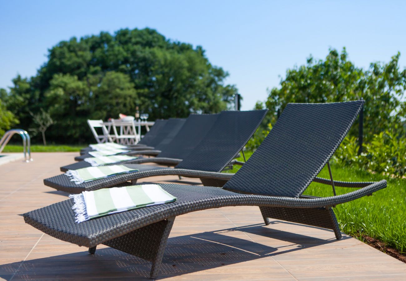 Villa in Tinjan - Villa Roza in Central Istria with whirlpool and playground for kids - pet friendly  