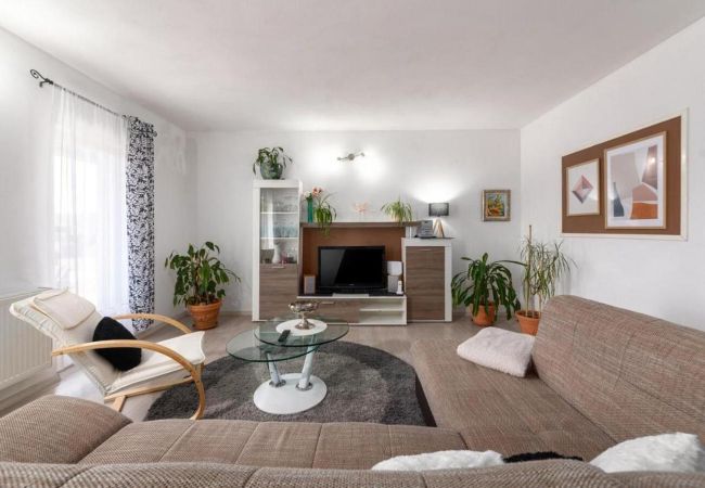 Villa in Oprtalj - Casa Sara and Sasha near Motovun with private pool - pet friendly truffle paradise Villa in Oprtalj - Casa Sara and Sasha near Motovun with private pool - pet friendly truffle paradise