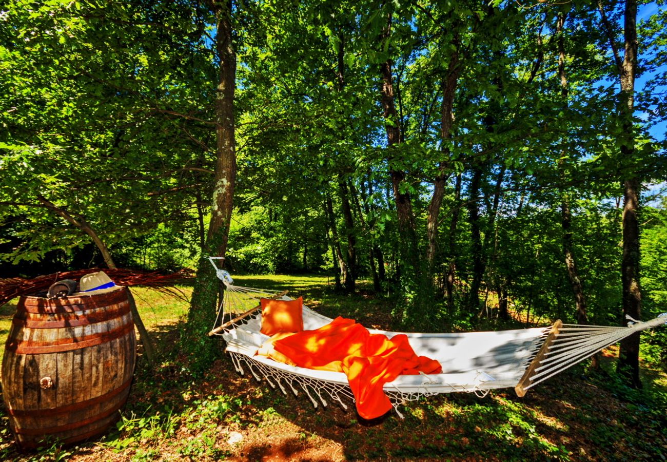 Villa in Svetvincenat - Villa Ferlini in Central Istria with private 10000 m2 Garden