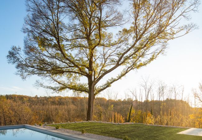 Villa in Karojba - Villa Ulmus near Motovun for 6 people with heated pool &  jacuzzi Villa in Karojba - Villa Ulmus near Motovun for 6 people with heated pool &  jacuzzi