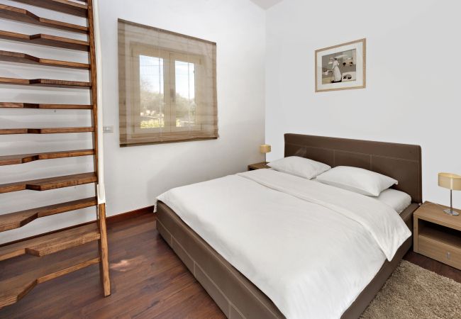 Villa in Labinci - Villa Santa Domenica near Poreč with play room, beautiful tavern & garden Villa in Labinci - Villa Santa Domenica near Poreč with play room, beautiful tavern & garden